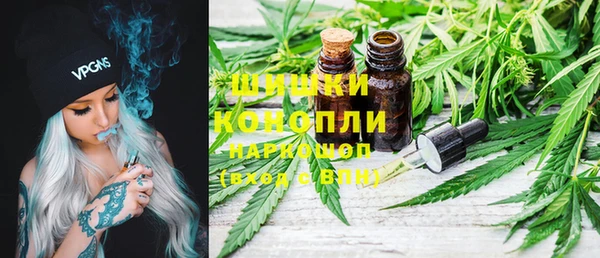 дмт Арсеньев